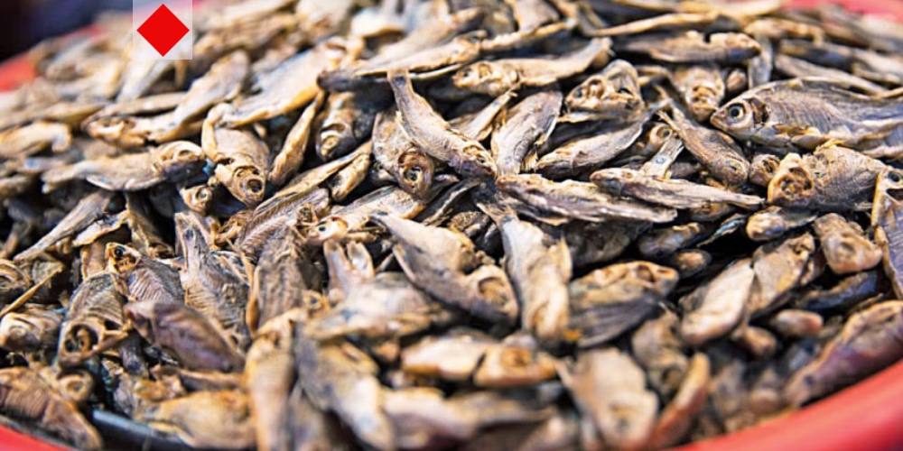 শুঁটকির স্বাদে আনন্দ, কিন্তু কতটা নিরাপদ?