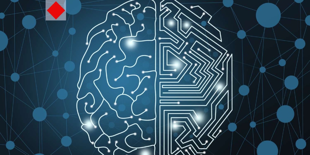 জানি ক্ষতিকর, তবু করি—পরিবেশ দূষণে আমাদের মানসিক দ্বন্দ্ব