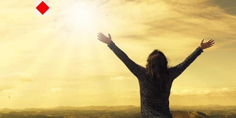 মনের খোরাক—ভালো লাগা বাড়ায় যে খাবারগুলো