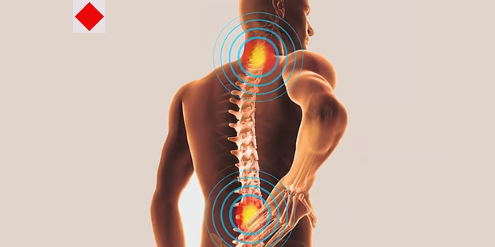একটু অবহেলাতেই সরে যেতে পারে কোমরের হাড়!