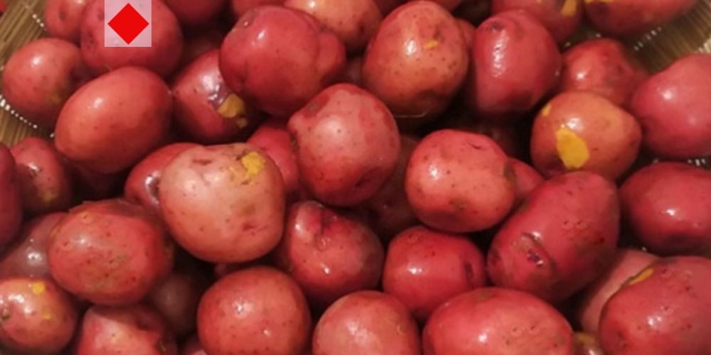 স্বাদ ও স্বাস্থ্যের এক আশ্চর্য সংমিশ্রণ লাল আলু