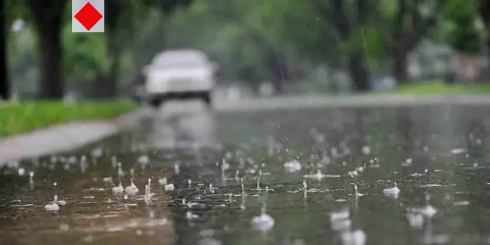 বর্ষায় সুস্থ থাকতে কী খাবেন, কী খাবেন না